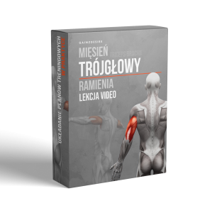 Mięsień trójgłowy ramienia  - lekcja