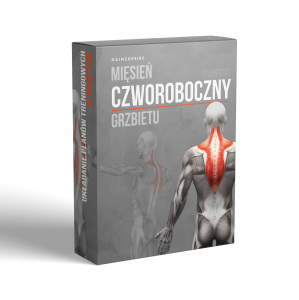 Mięsień czworoboczny - lekcja