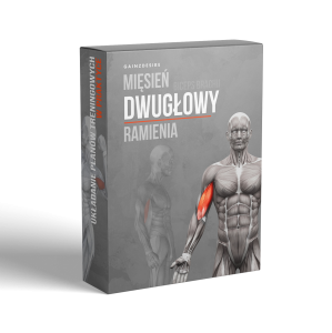 Mięsień dwugłowy ramienia - lekcja