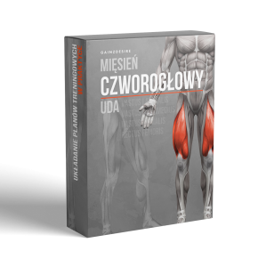 Mięsień czworogłowy - lekcja