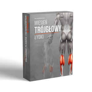 Mięśnie łydki - lekcja