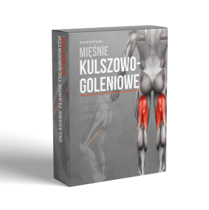 Mięśnie kulszowo-goleniowe- lekcja